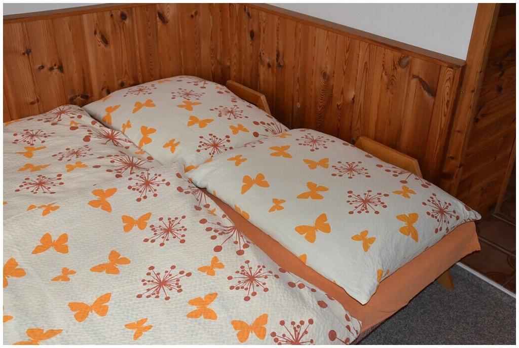 Pension Dvoracek Svoboda nad Úpou 部屋 写真