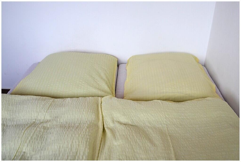 Pension Dvoracek Svoboda nad Úpou 部屋 写真
